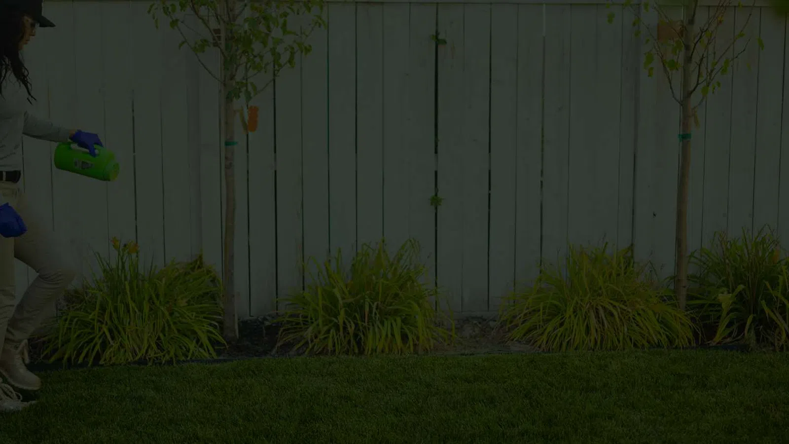 Person wearing gloves applies liquid fertilizer to garden plants along a wooden fence in a backyard.