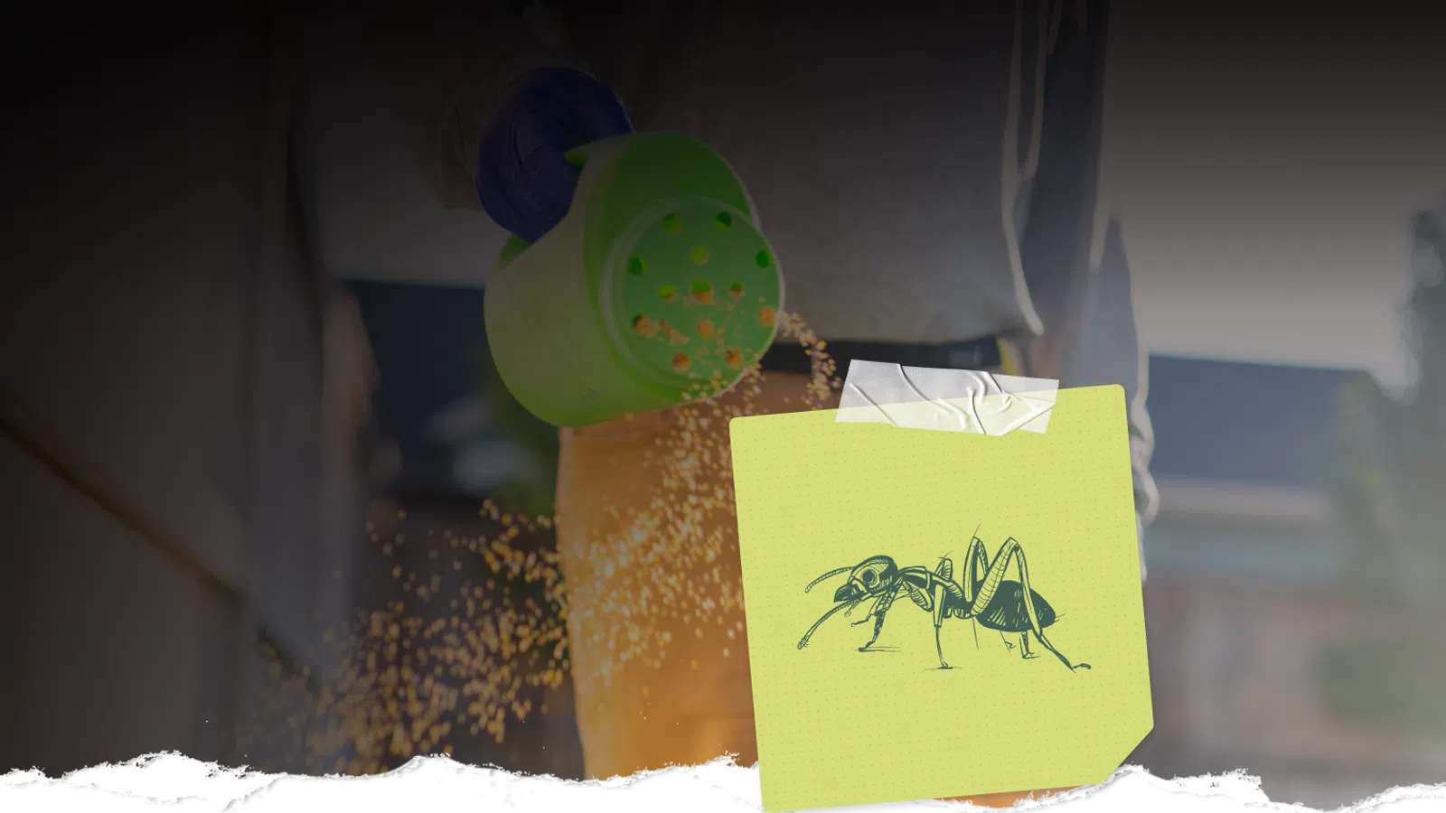 Person sprinkling granular ant bait from a green container with an ant illustration on a yellow note.