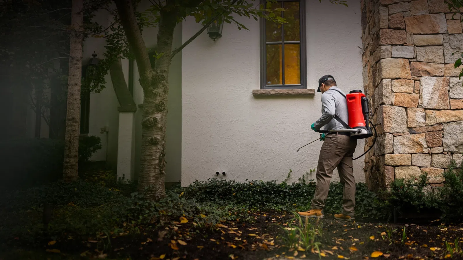Professional applying pesticide with backpack sprayer near house wall and garden plants in daytime.