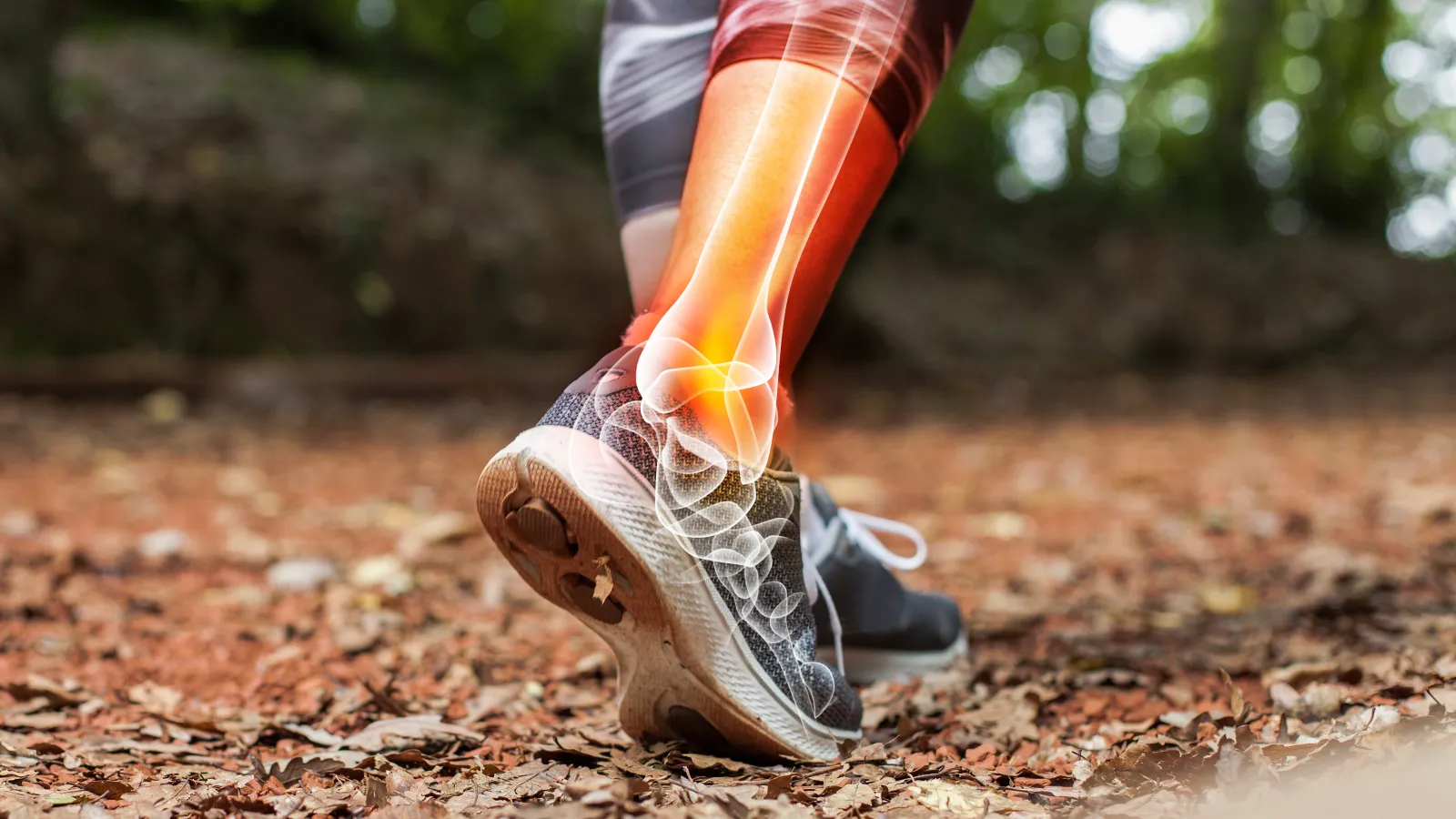 a close up of a leg in nature