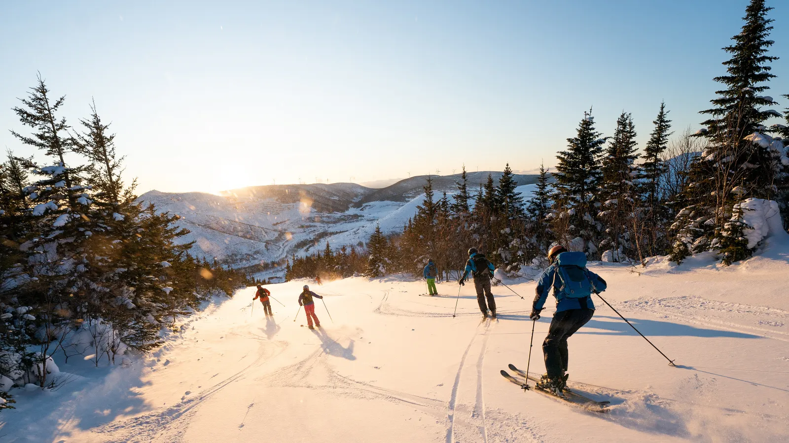 a group of skiers going down a slope