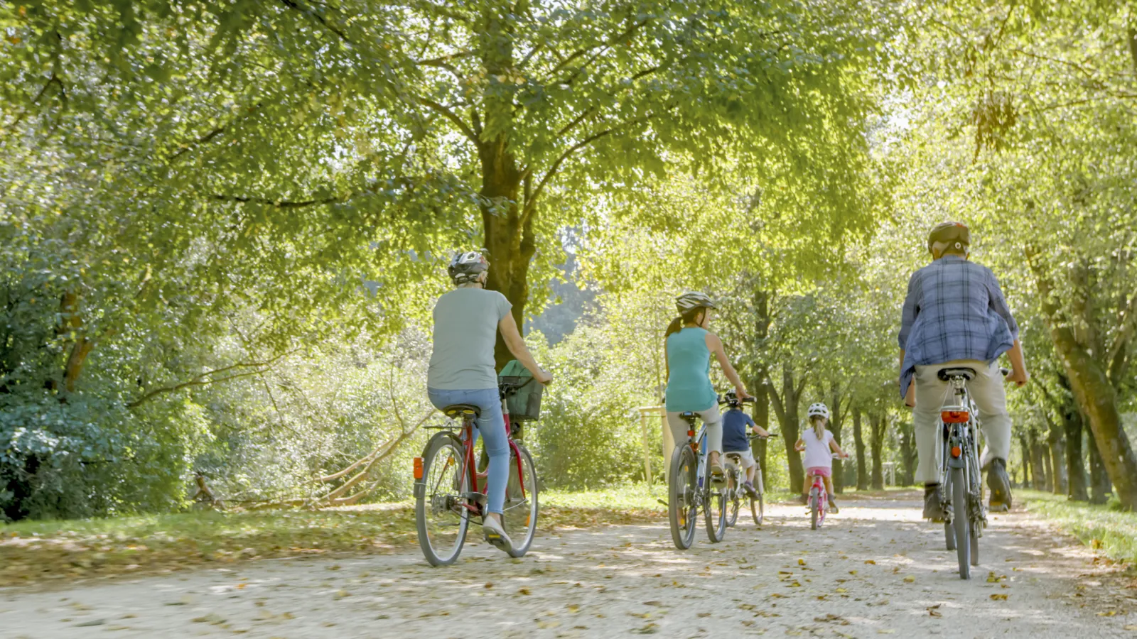 Family riding bicycles on a sunlit forest path surrounded by green trees in autumn