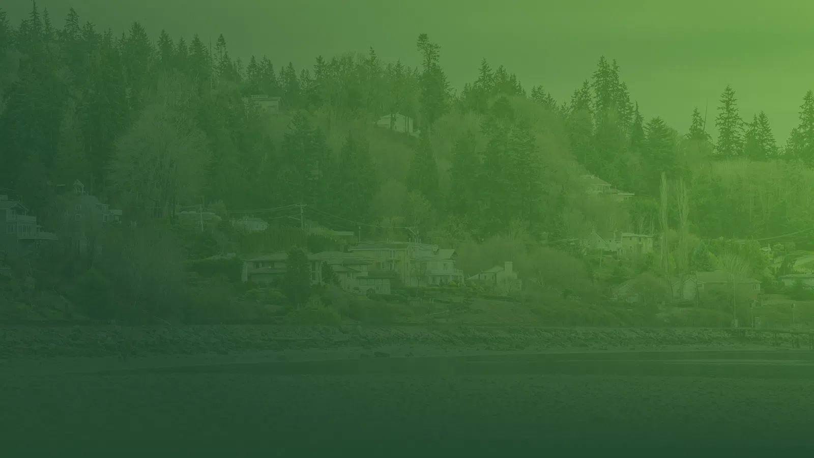 Riverfront houses nestled among tall pine trees on a hillside with a calm river in the foreground