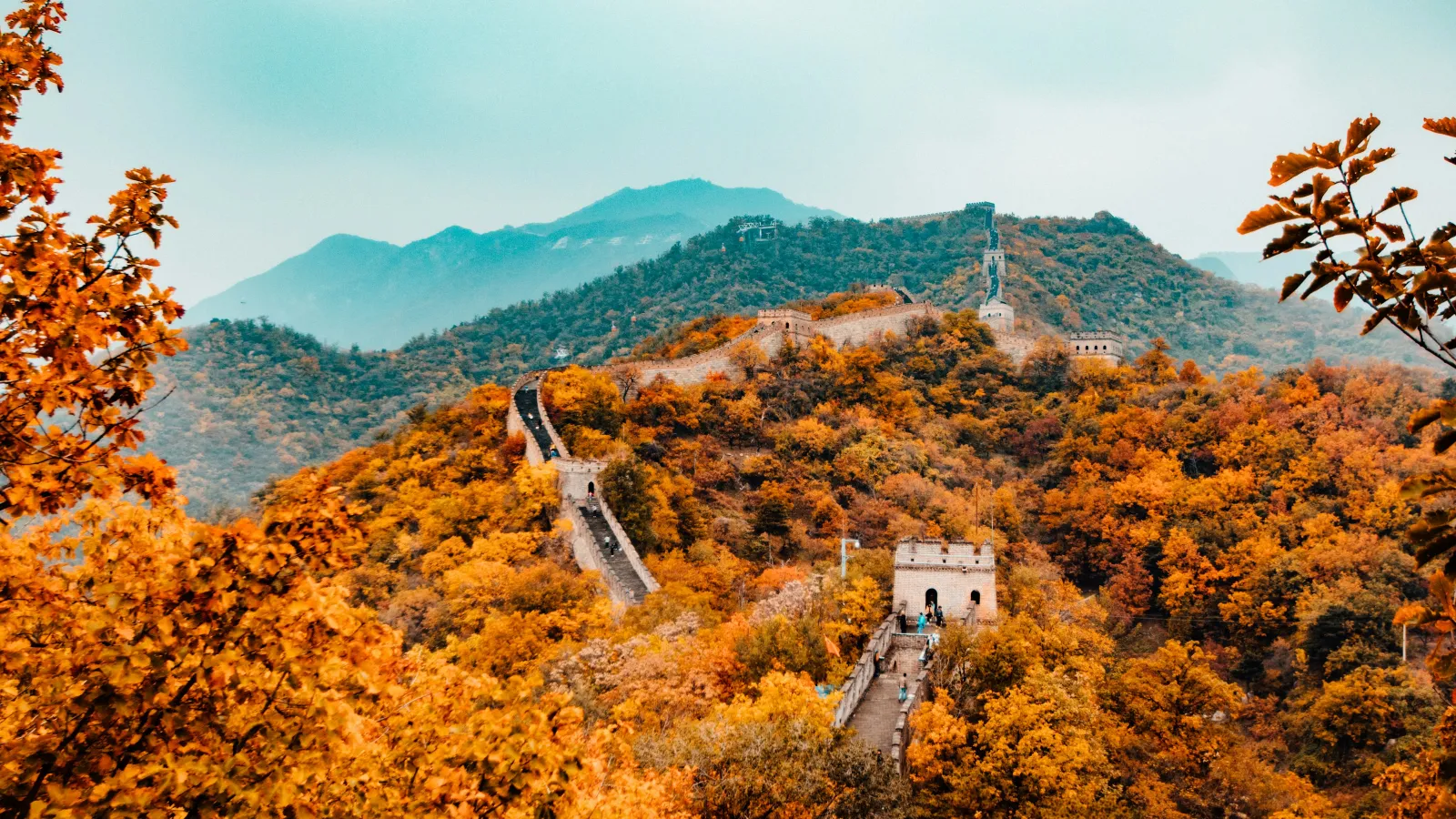 The Great Wall of China winding through autumn trees with orange and yellow foliage under a clear sky.