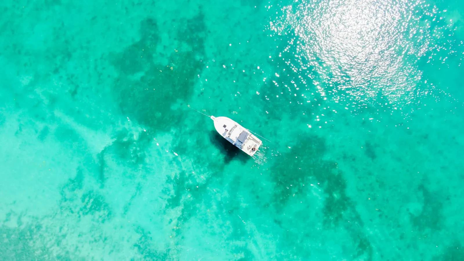 a person swimming in the water