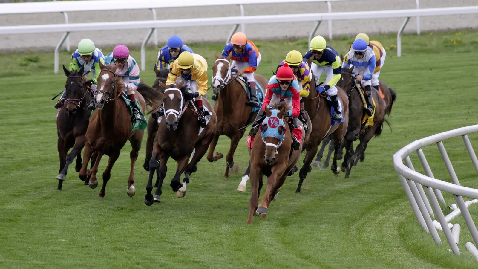 a group of jockeys racing horses