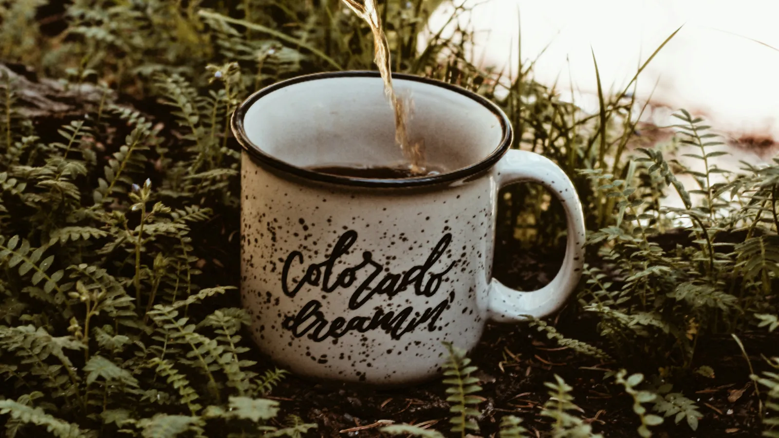 a coffee cup with a plant in it