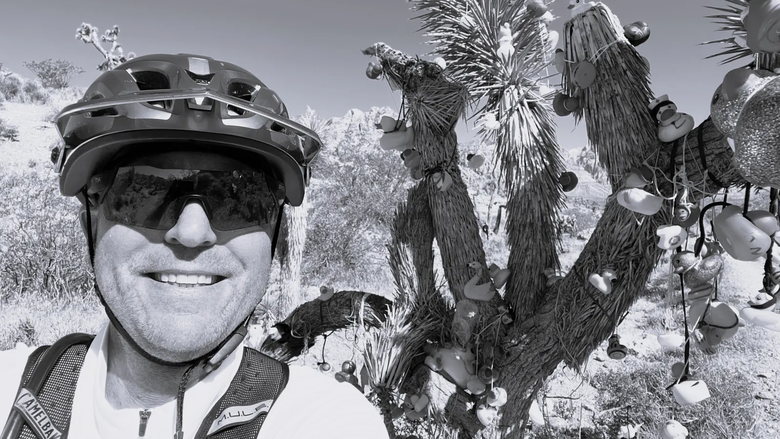 a man wearing a helmet and sunglasses