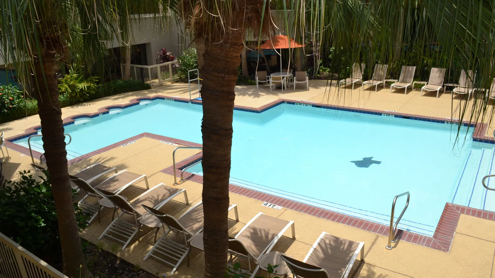 Sunny outdoor pool area with lounge chairs, palm trees, and clear blue water at a hotel or resort.