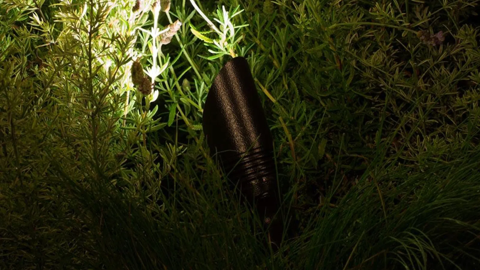 A spotlight illuminating a textured surface amidst lush green foliage.