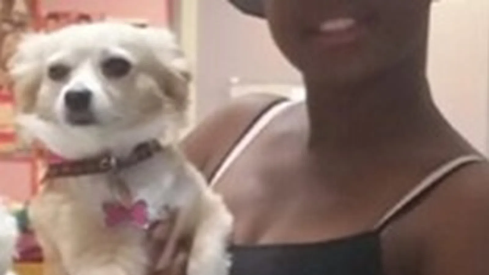 a person holding a dog