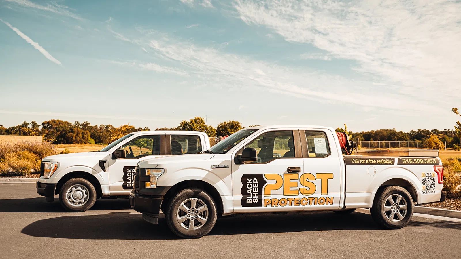 Two white Black Sheep Pest Protection pickup trucks parked side by side under a partly cloudy sky.