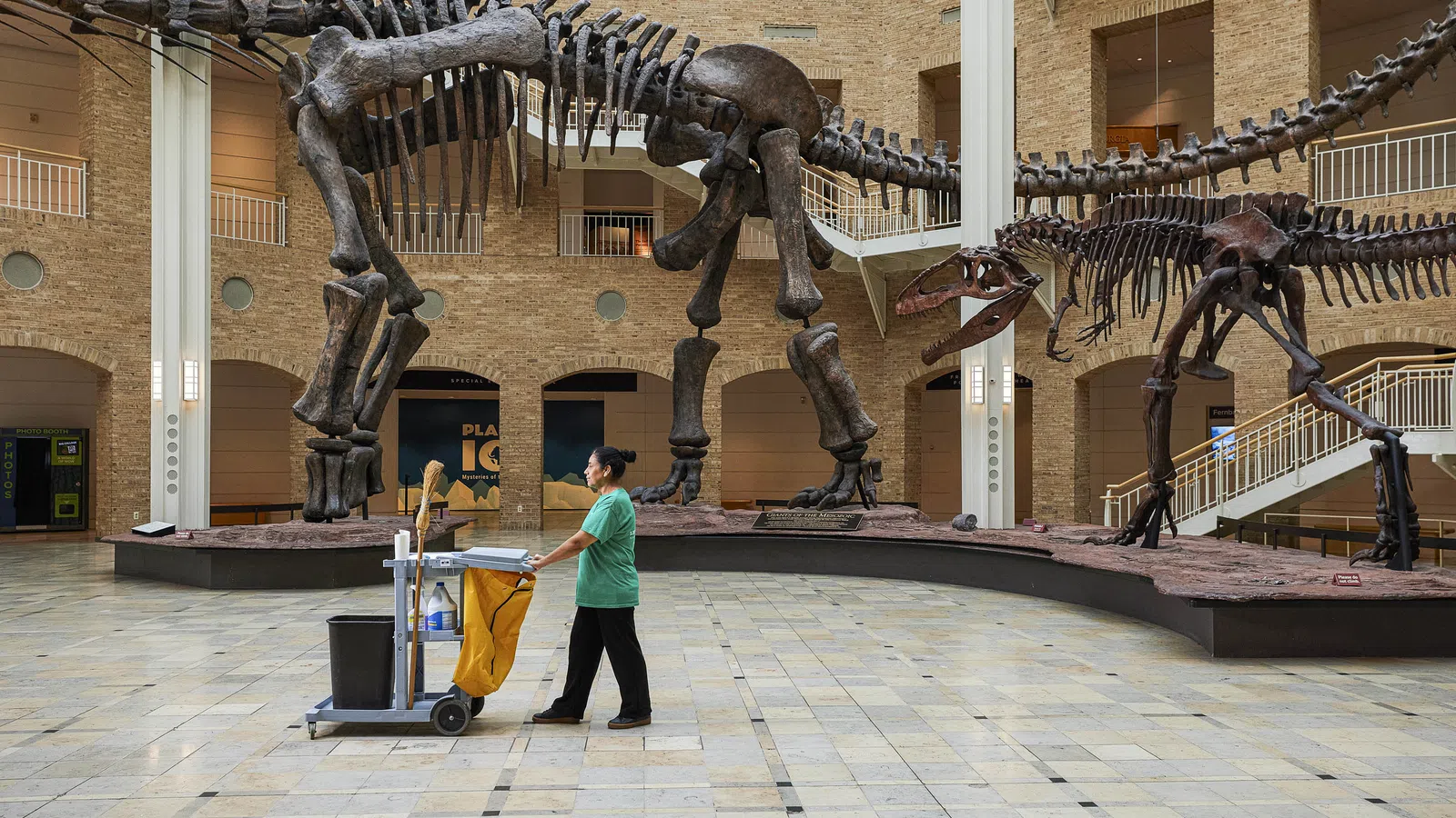 Museum hall with large dinosaur skeletons and a janitor pushing a cleaning cart on tiled floor under high ceilings.