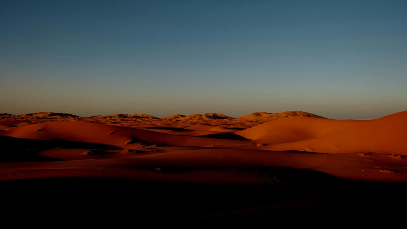 Golden sand dunes under a clear blue sky in a vast desert landscape during sunset.