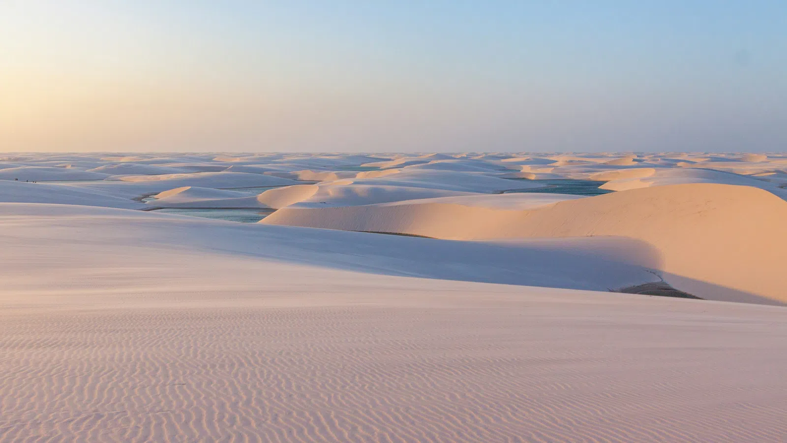 Vast desert landscape with rolling sand dunes under a clear sky during sunrise or sunset