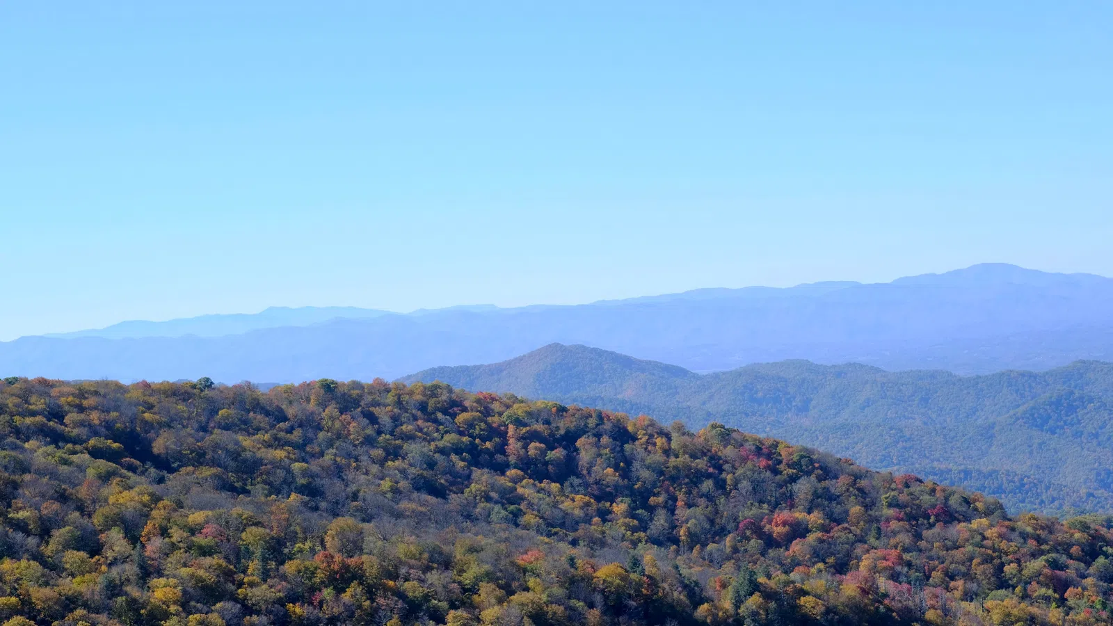Home Inspectors in Traphill, NC, Wilkes County, 28685 Home Inspections, Certified Home Inspectors, Residential and Commercial Home Inspections in Traphill, NC, Wilkes County, 28685