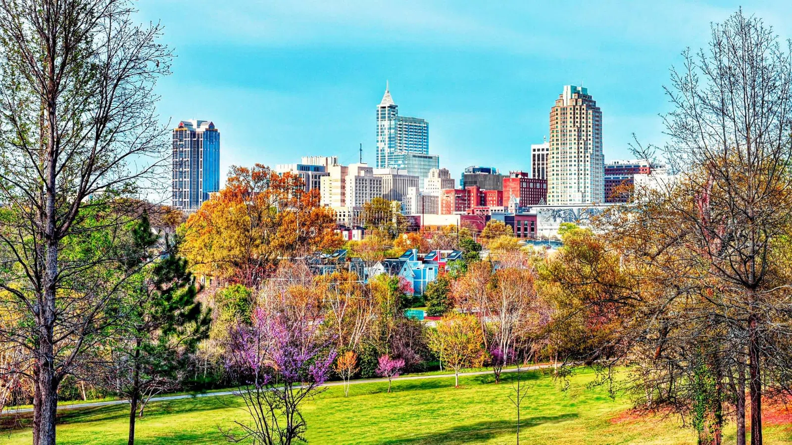 Residential and Commercial Inspection in Conyers, Conyers Home Inspections, Conyers Home Inspector, a home pro inspector in Conyers, FAA Certified Drone Inspections in Conyers, Sewer Scope Inspections in Conyers, FAQs