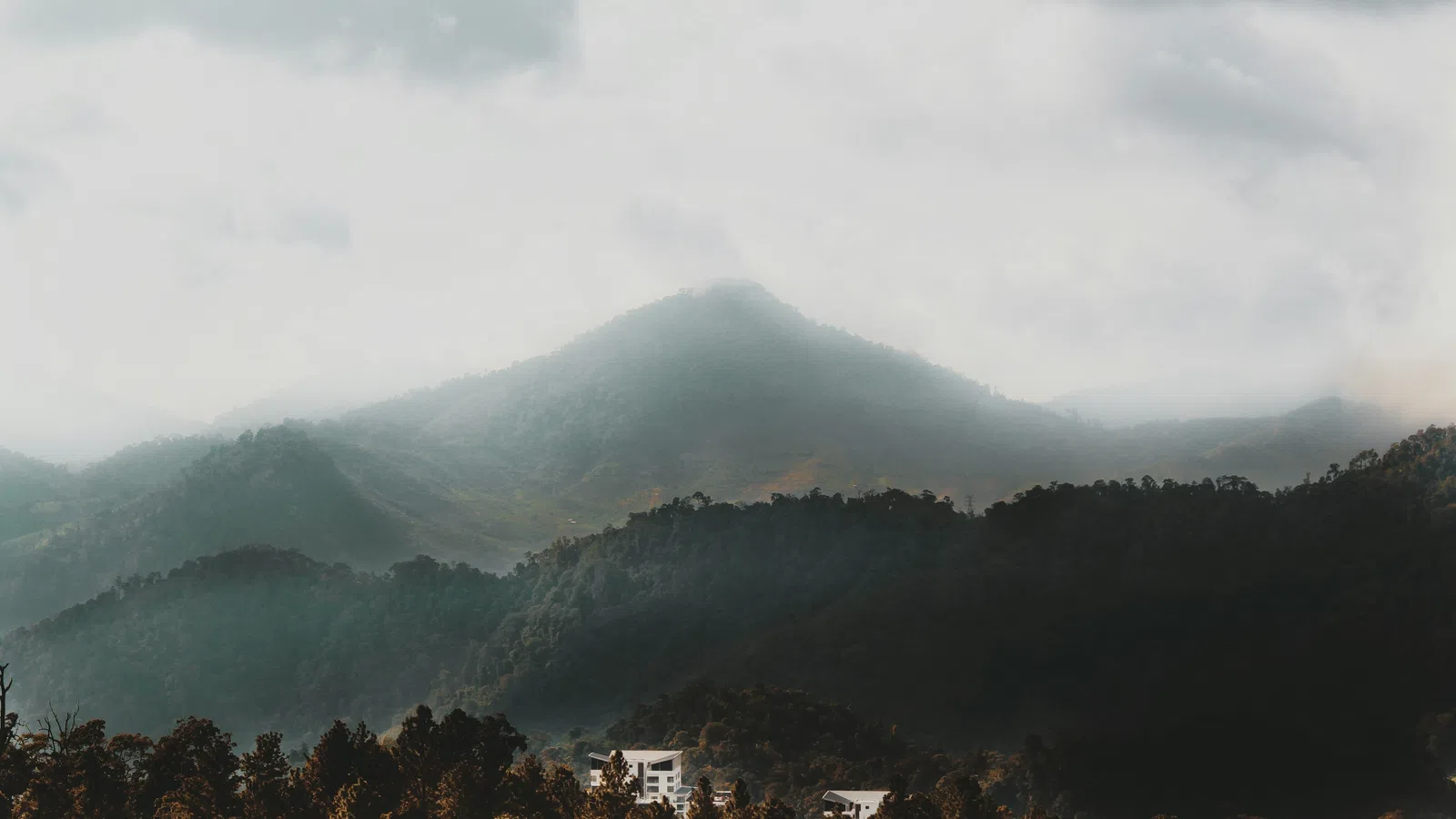Home Inspectors in Chestnut Mountain, GA, Hall County, 30502 Home Inspections, Certified Home Inspectors, Residential and Commercial Home Inspections in Chestnut Mountain, GA, Hall County, 30502