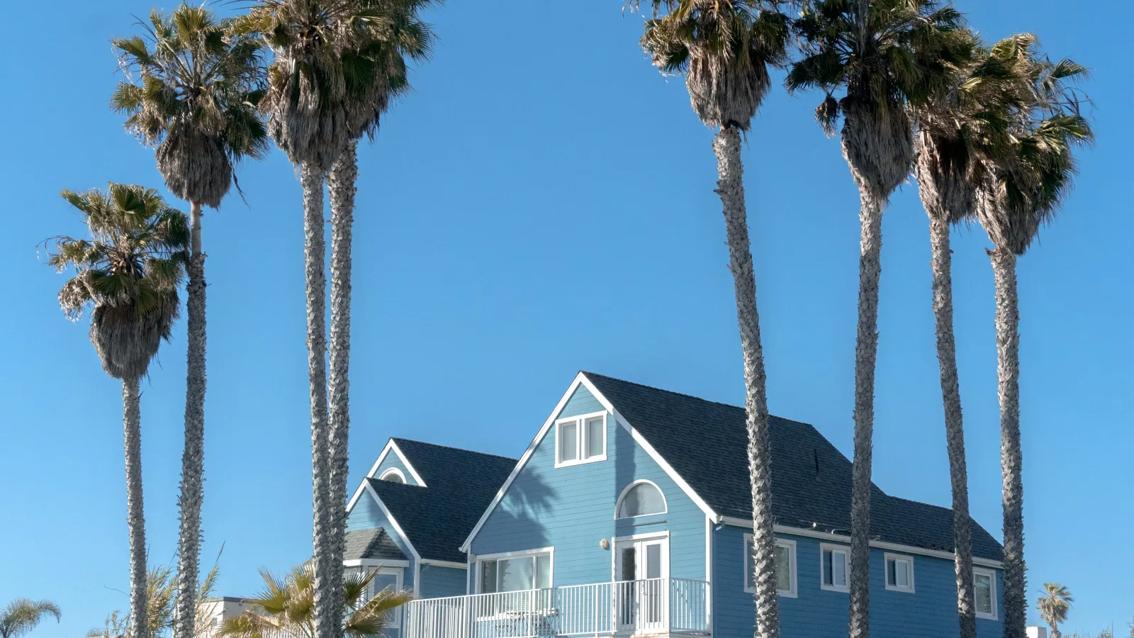Blue two-story house with white trim surrounded by tall palm trees under clear blue sky.