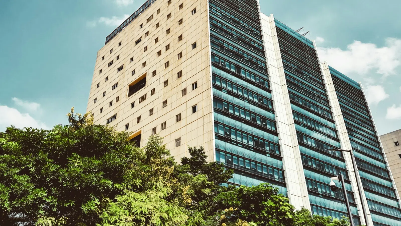 Modern office building with glass windows behind lush green trees under a clear blue sky.