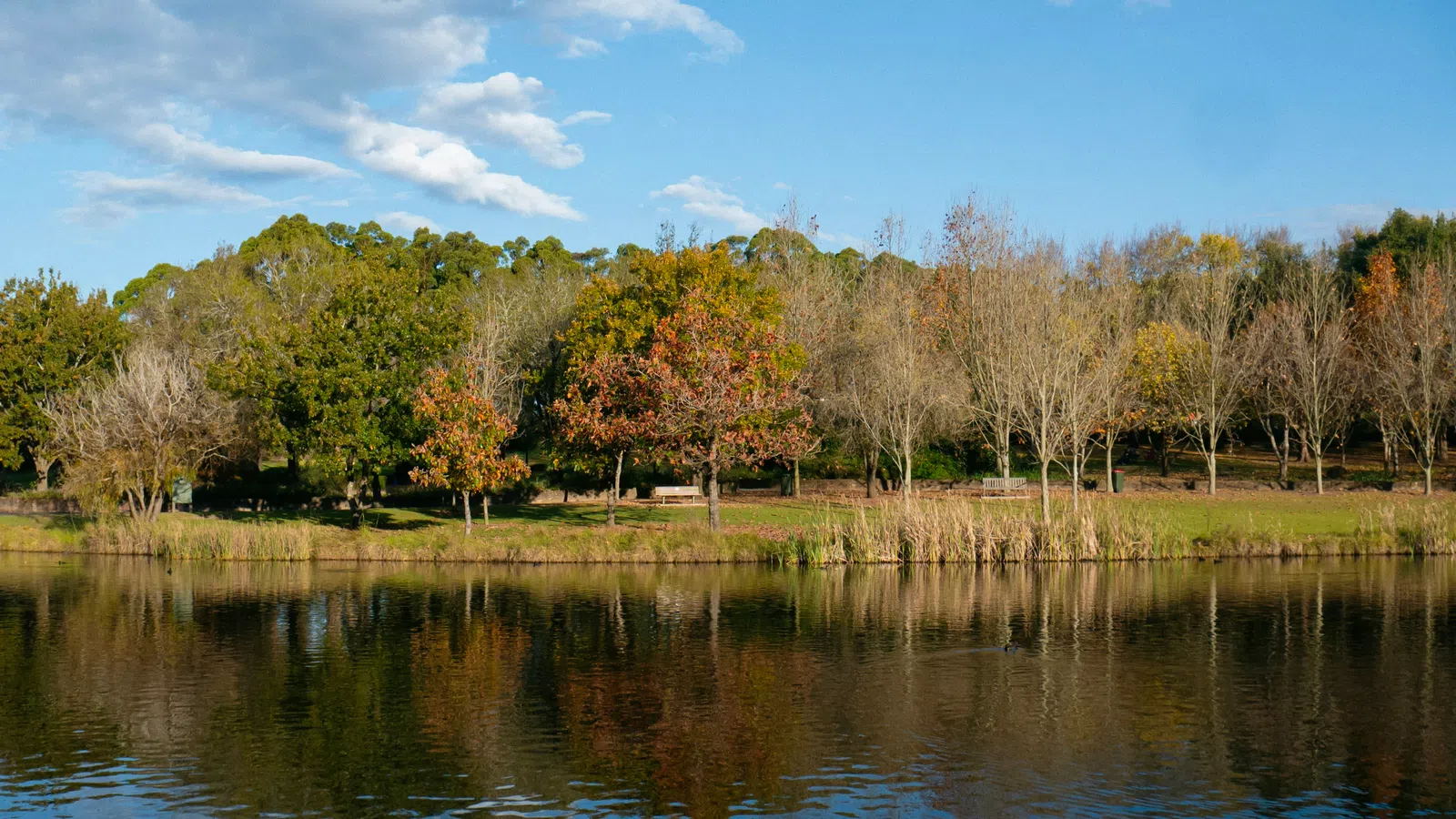 Home Inspectors in Van Wyck, SC, Lancaster, 29744 Home Inspections, Certified Home Inspectors, Residential and Commercial Home Inspections in Van Wyck, SC, Lancaster, 29744