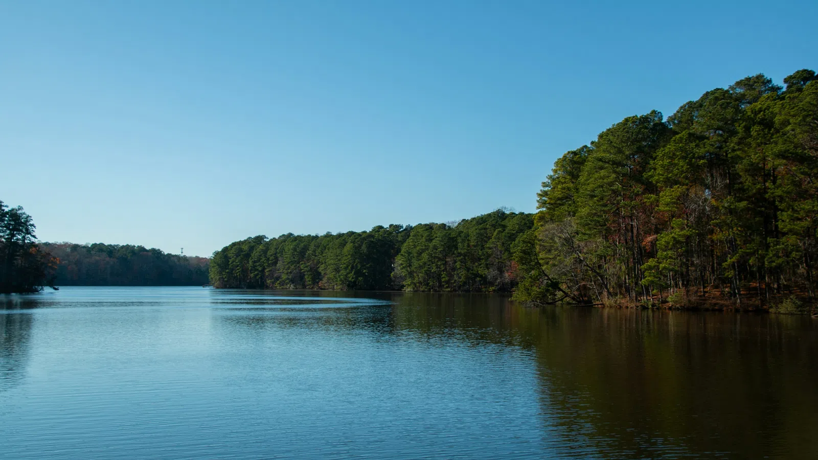 Home Inspectors in Woodleaf, NC, Rowan, 27054 Home Inspections, Certified Home Inspectors, Residential and Commercial Home Inspections in Woodleaf, NC, Rowan, 27054