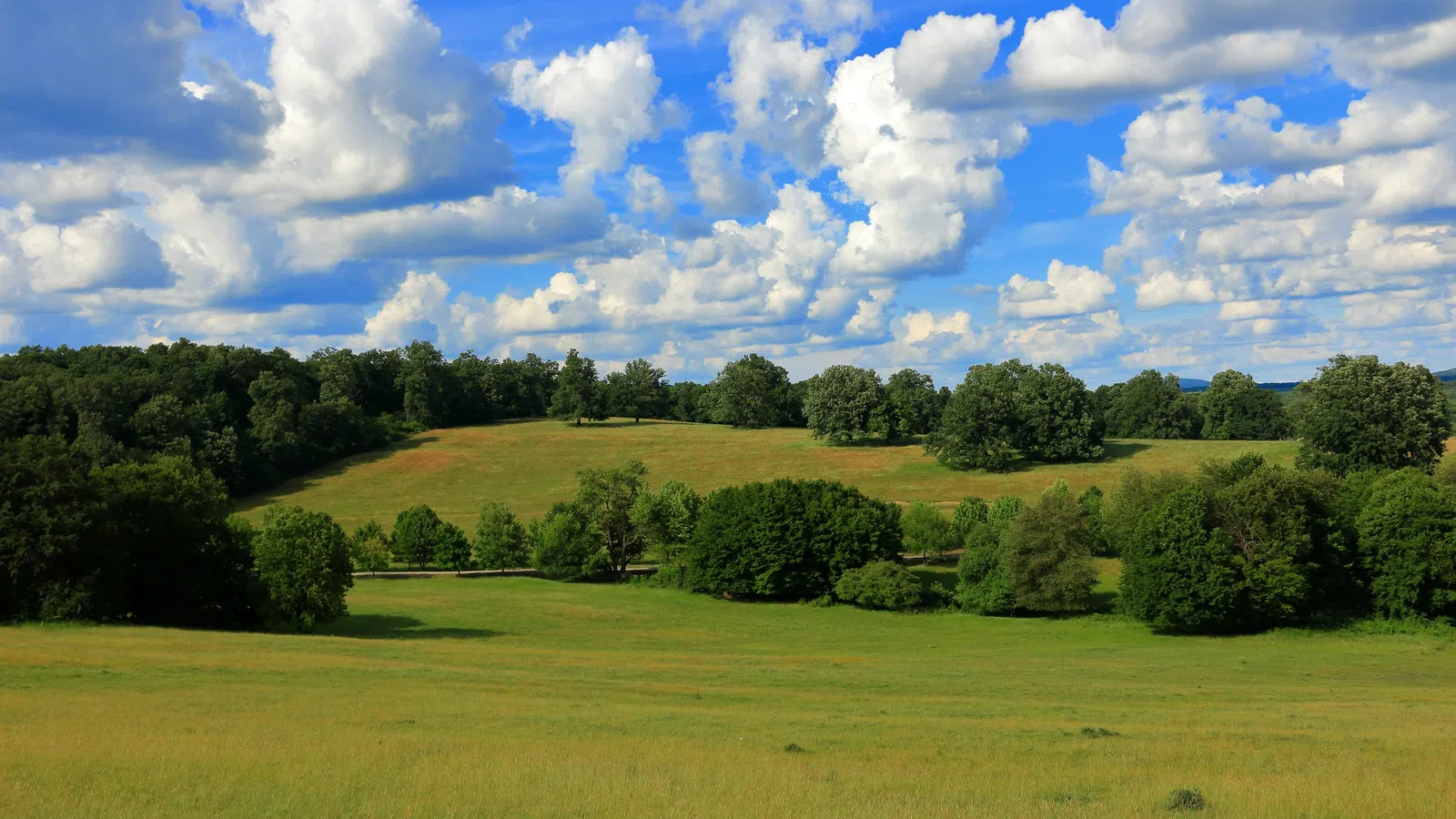 Home Inspectors in Summerfield, NC, Guilford, 27358 Home Inspections, Certified Home Inspectors, Residential and Commercial Home Inspections in Summerfield, NC, Guilford, 27358
