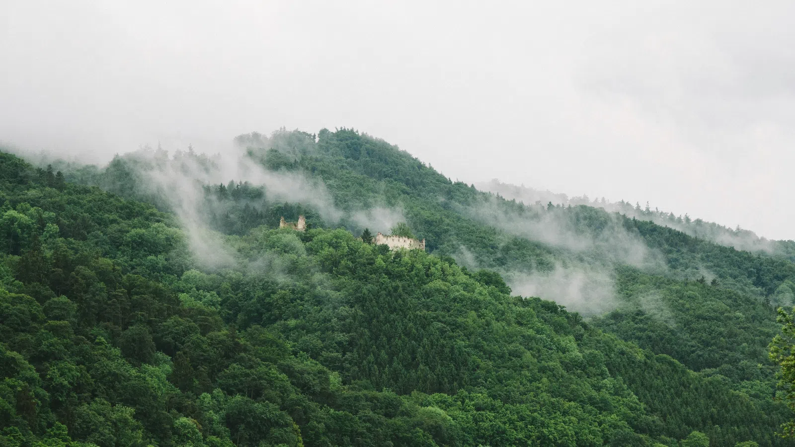 Home Inspectors in Gruetli-Laager, Tennessee, Sequatchie County, 37365 Home Inspections, Certified Home Inspectors, Residential and Commercial Home Inspections in Gruetli-Laager, Tennessee, Sequatchie County, 37365