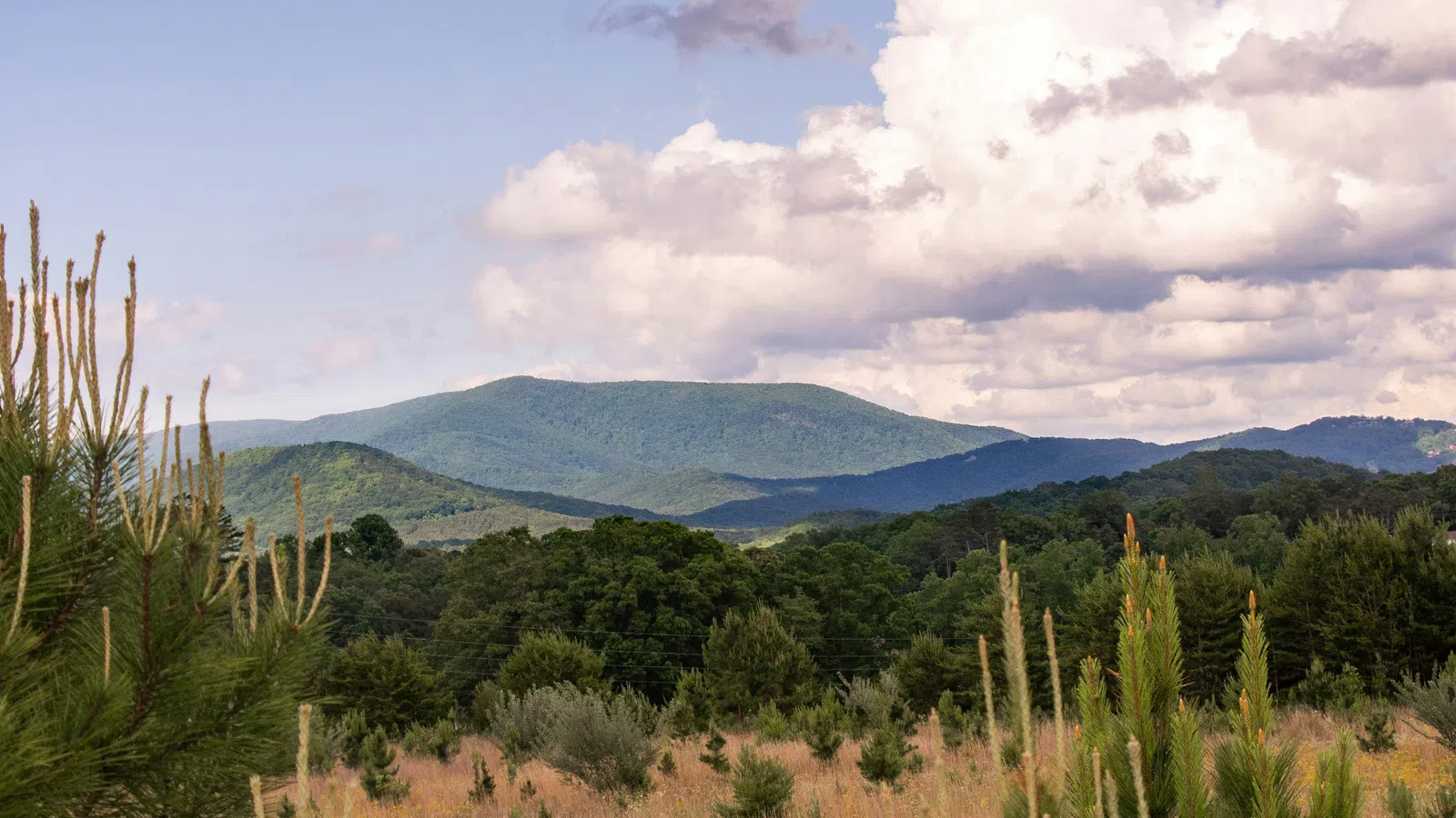 Home Inspectors in Ellijay, GA, Gilmer County, 30536, 30540 Home Inspections, Certified Home Inspectors, Residential and Commercial Home Inspections in Ellijay, GA, Gilmer County, 30536, 30540