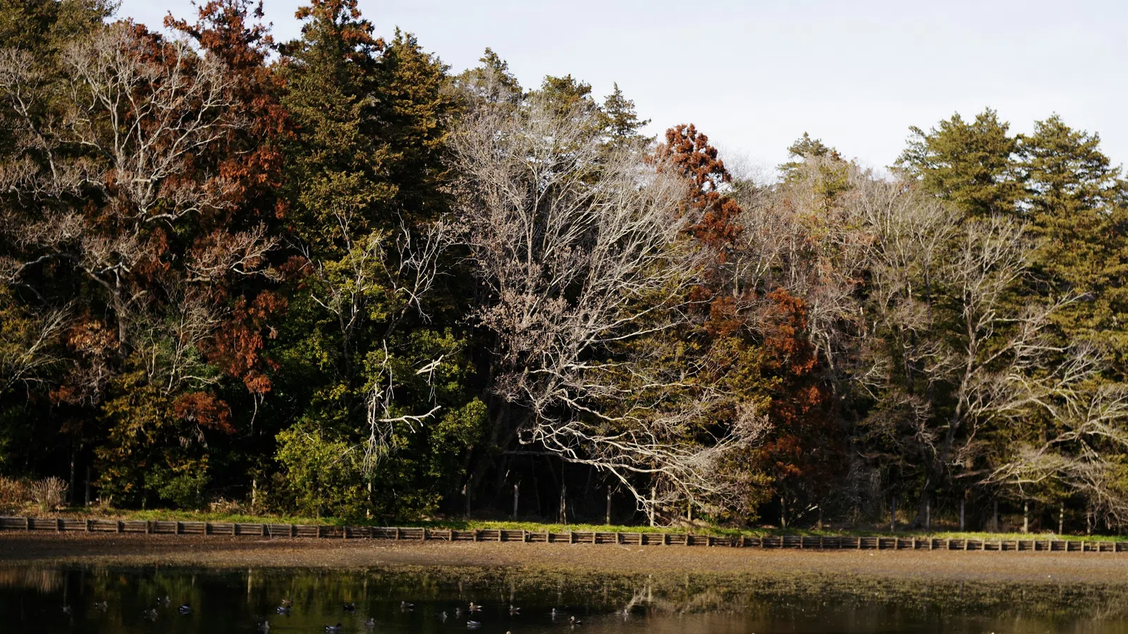 Home Inspectors in Wagram, NC, Scotland County, 28396 Home Inspections, Certified Home Inspectors, Residential and Commercial Home Inspections in Wagram, NC, Scotland County, 28396