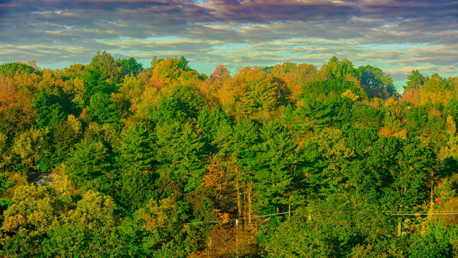 Home Inspectors in Ware Shoals, SC, Laurens, 29692 Home Inspections, Certified Home Inspectors, Residential and Commercial Home Inspections in Ware Shoals, SC, Laurens, 29692