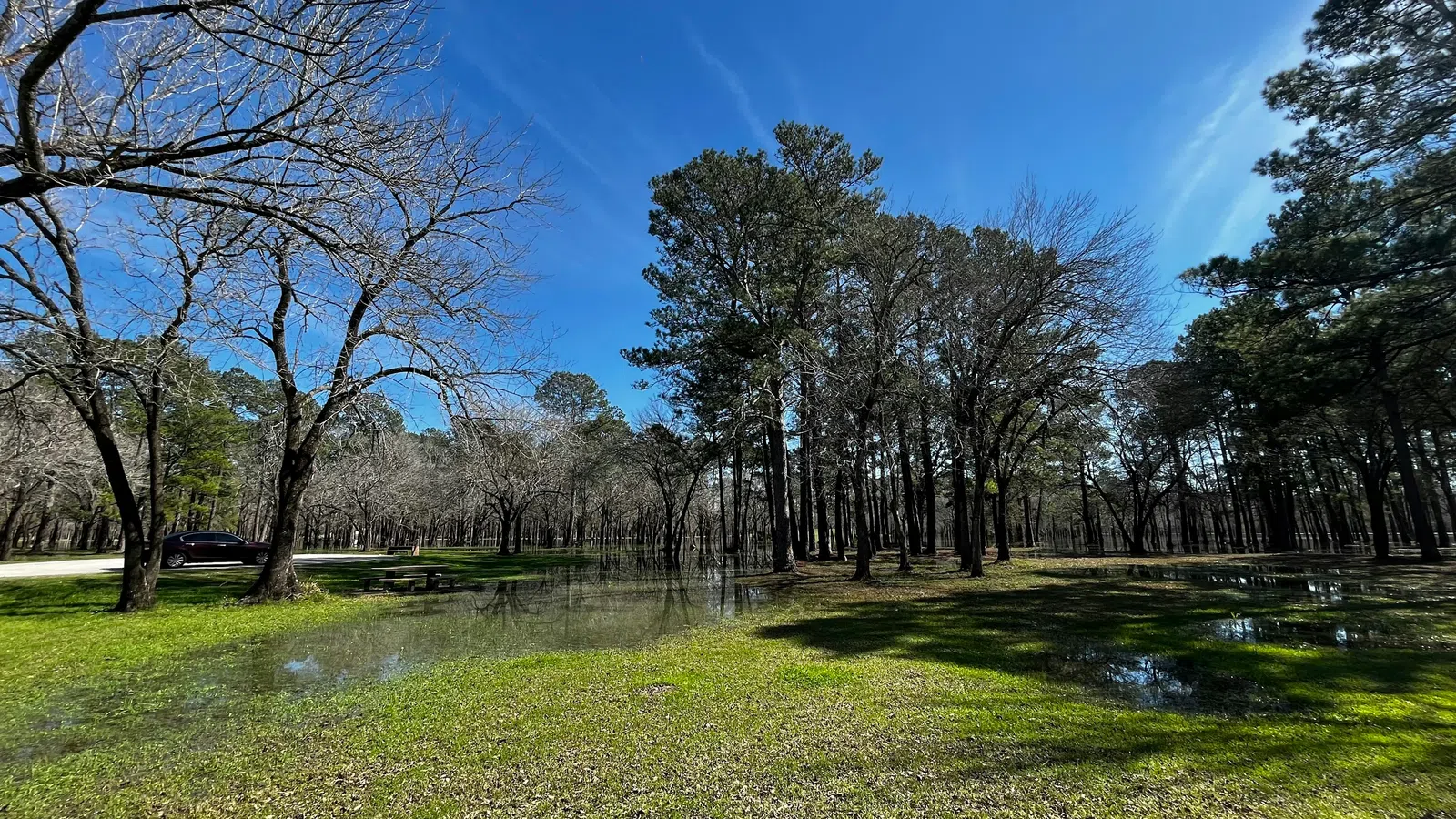 Home Inspectors in Bear Creek, NC, Chatham County, 27207 Home Inspections, Certified Home Inspectors, Residential and Commercial Home Inspections in Bear Creek, NC, Chatham County, 27207