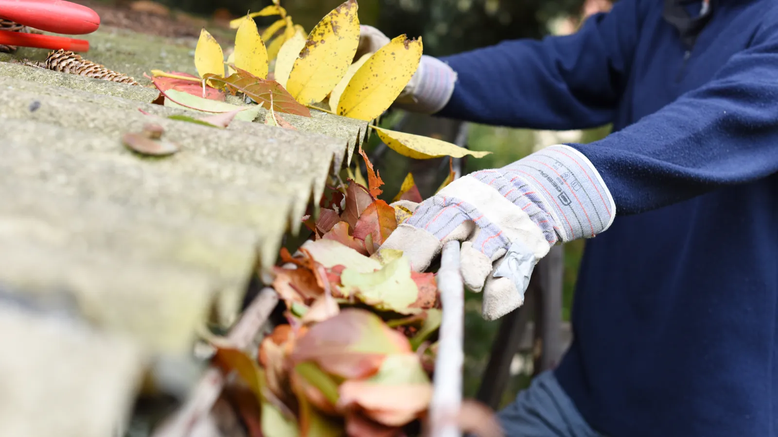 gutter cleaning