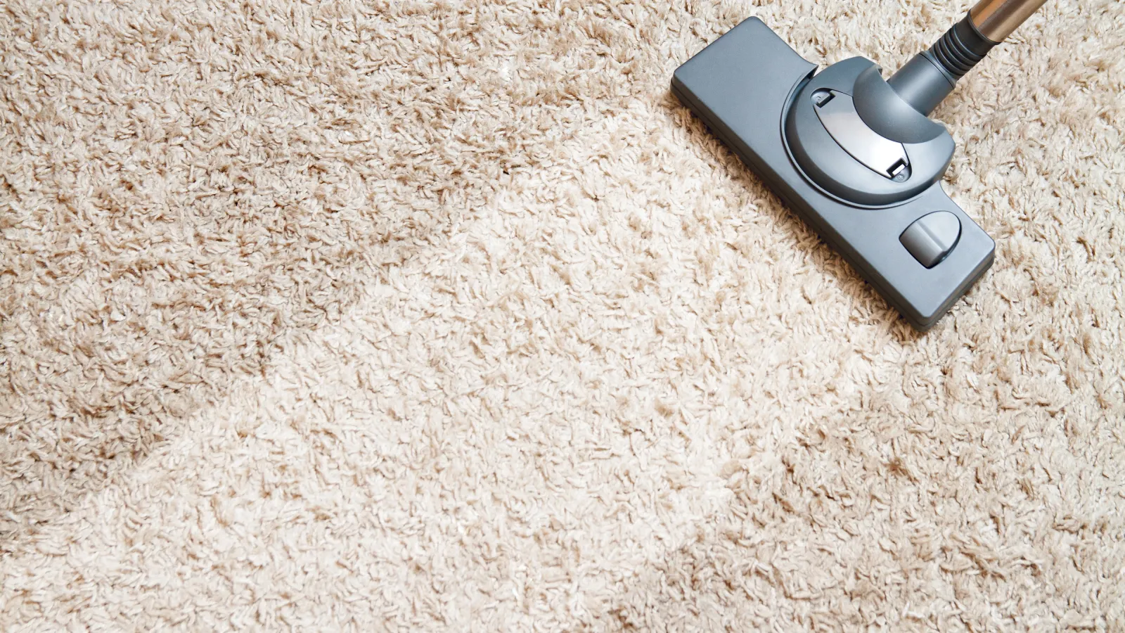 a black and silver vacuum on carpet