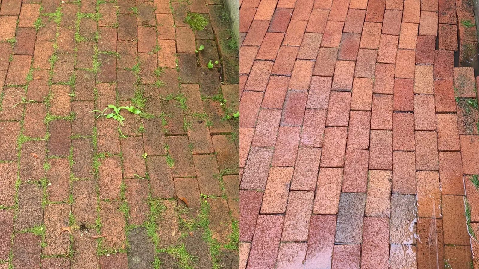 a brick walkway with moss