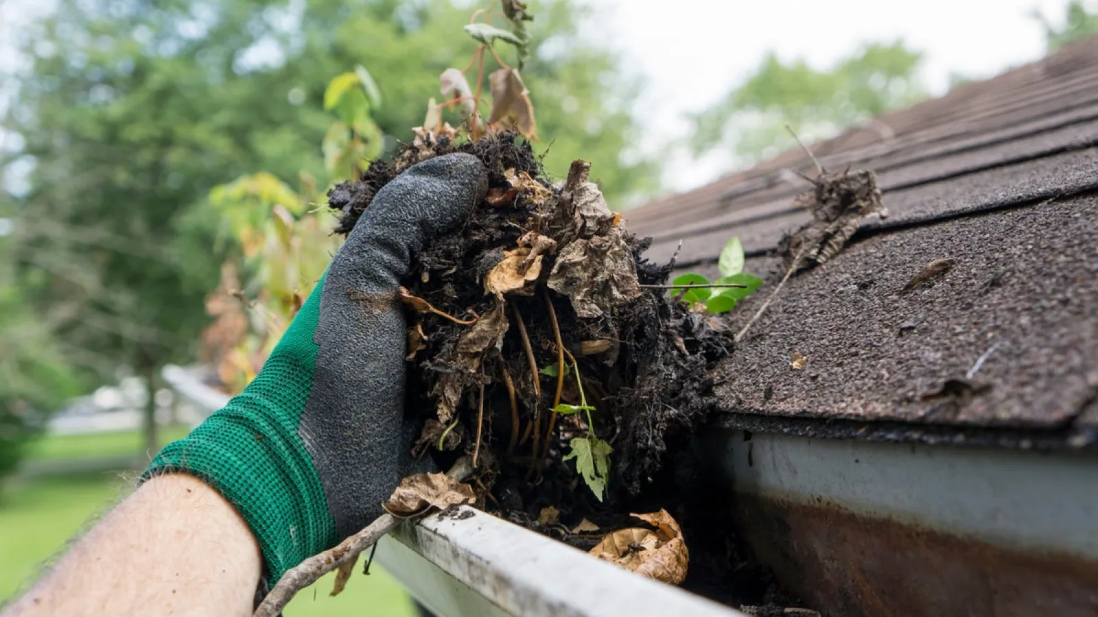 A gutter full of debris