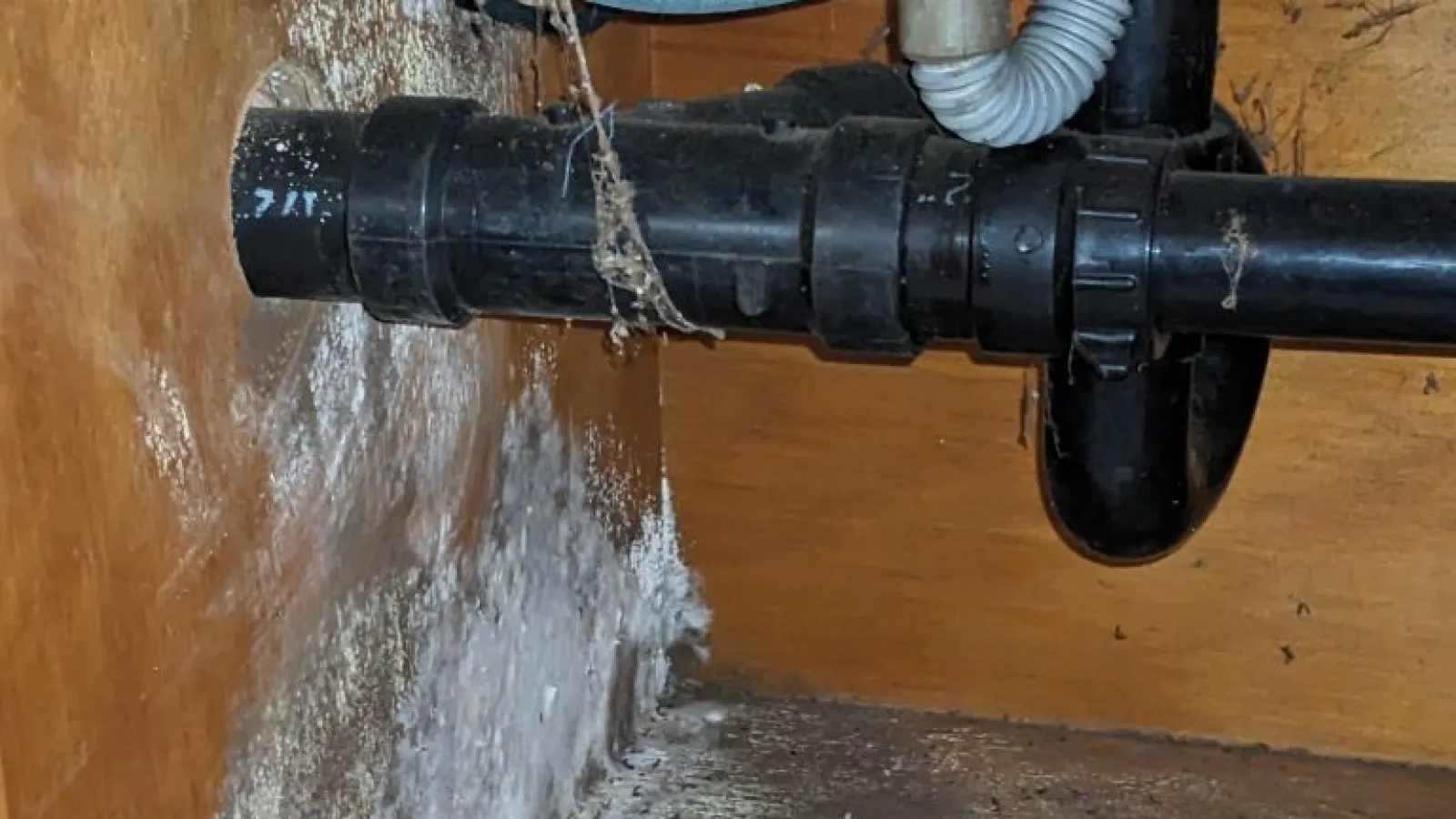 Water damage and mold growth under sink around leaking black PVC drain pipes and plumbing.