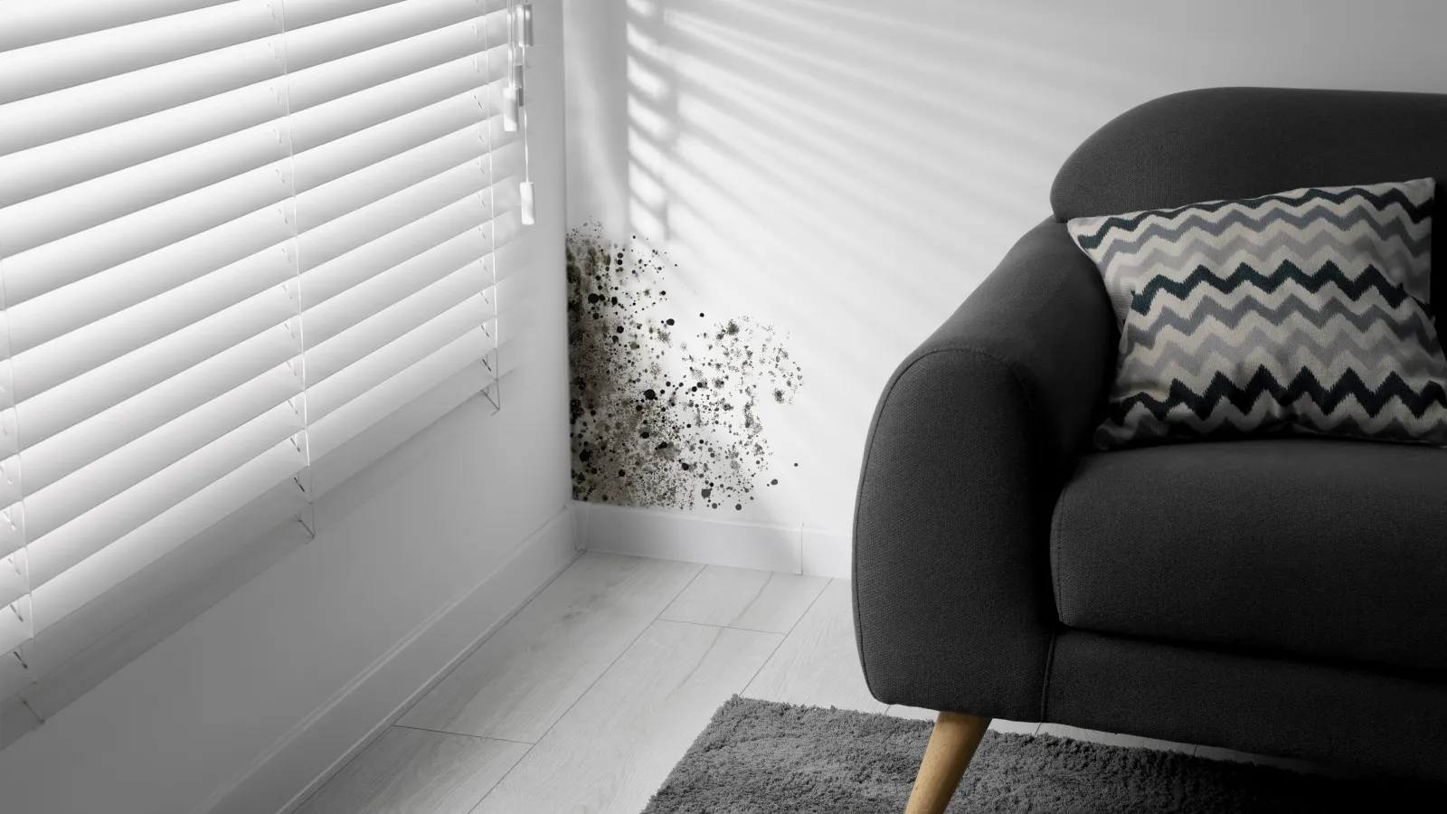 Black mold growth on white wall corner next to a window and dark gray couch with patterned pillow.