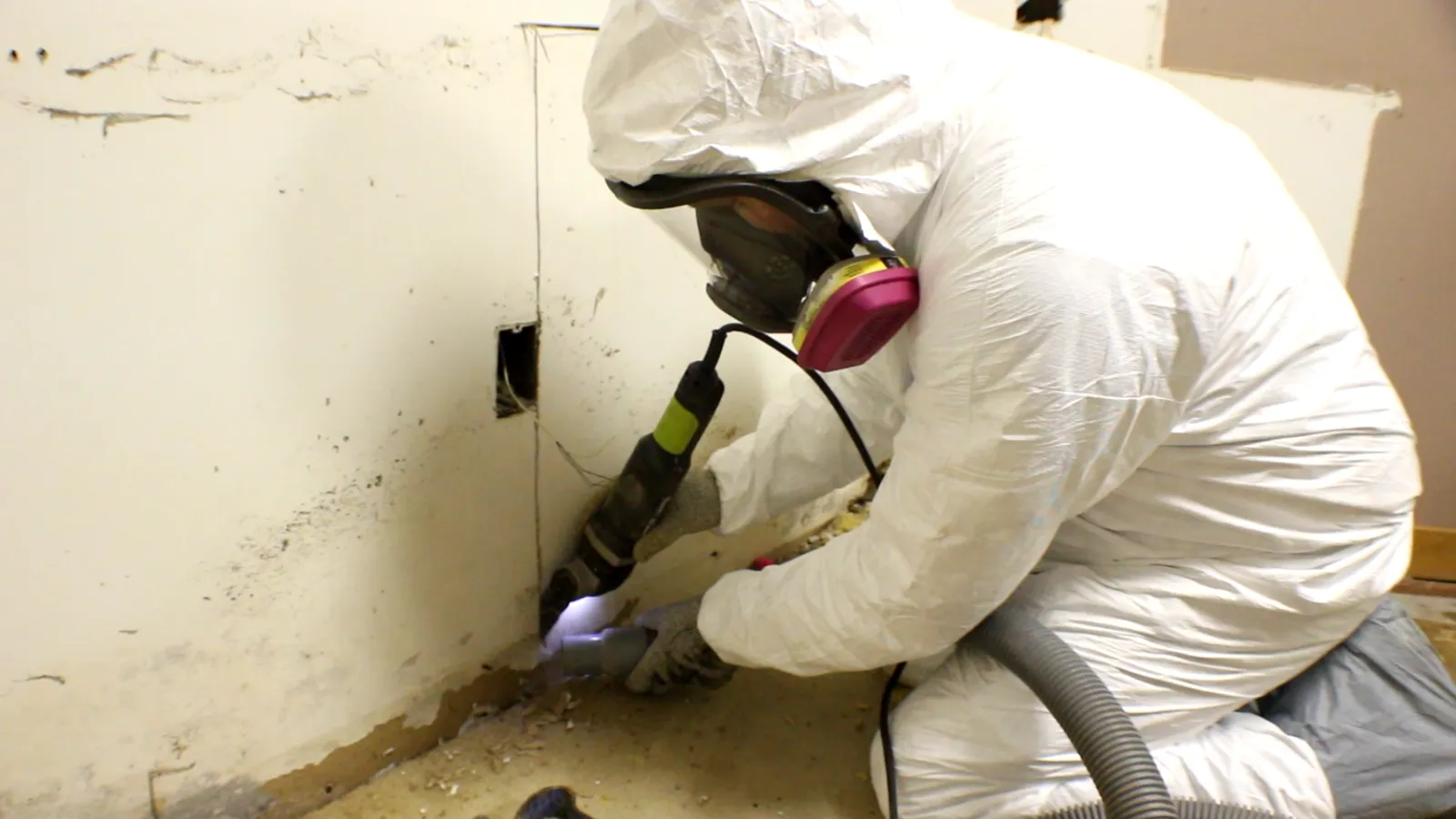 Worker in protective suit and respirator removes mold from wall corner with power tool inside a damaged room.