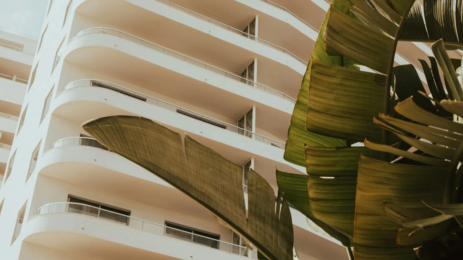Modern architecture of a curved white building with lush green palm leaves in the foreground against a blue sky.