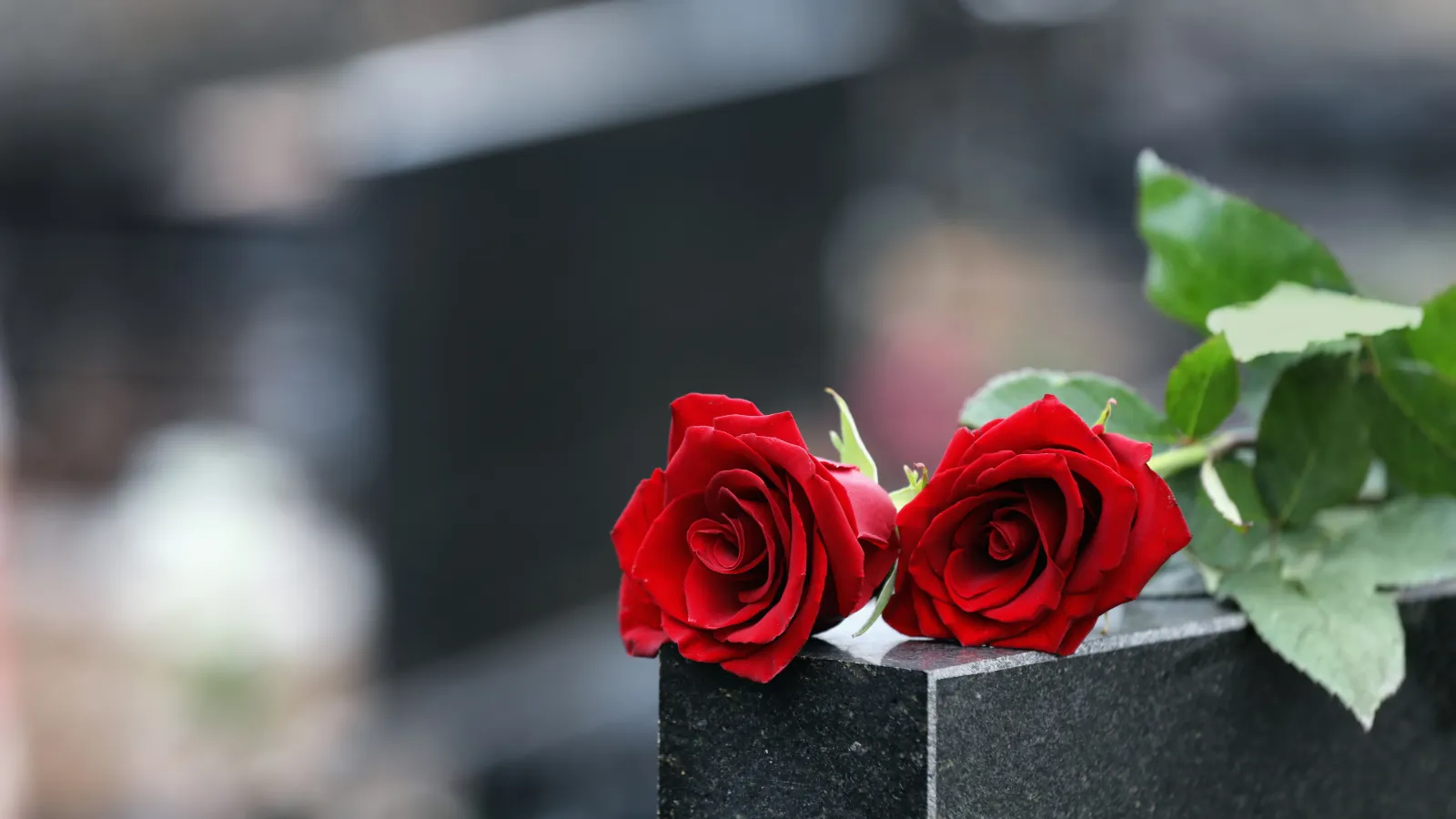 Death of legal custodian