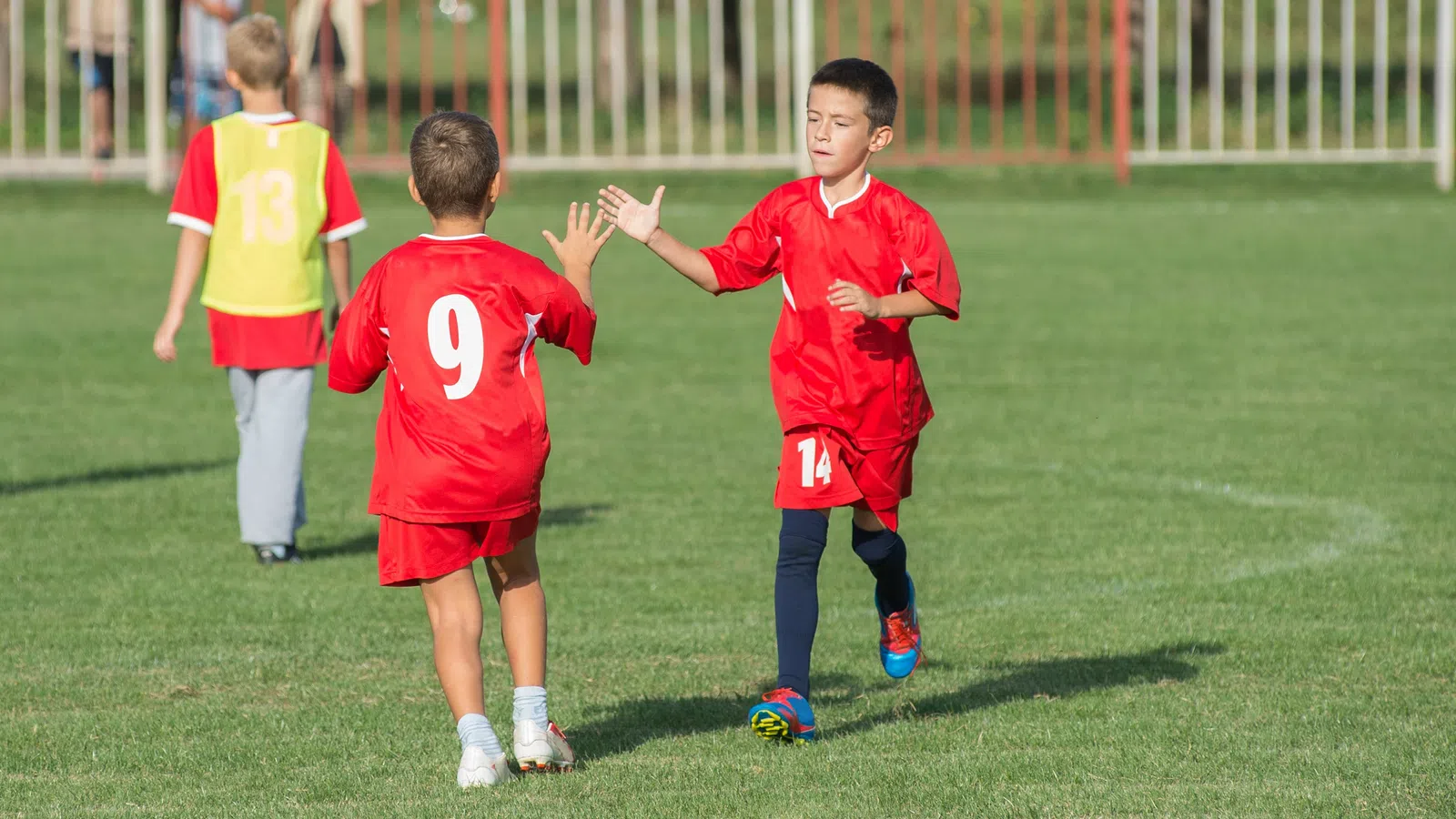 Child Custody Extracurricular Activities