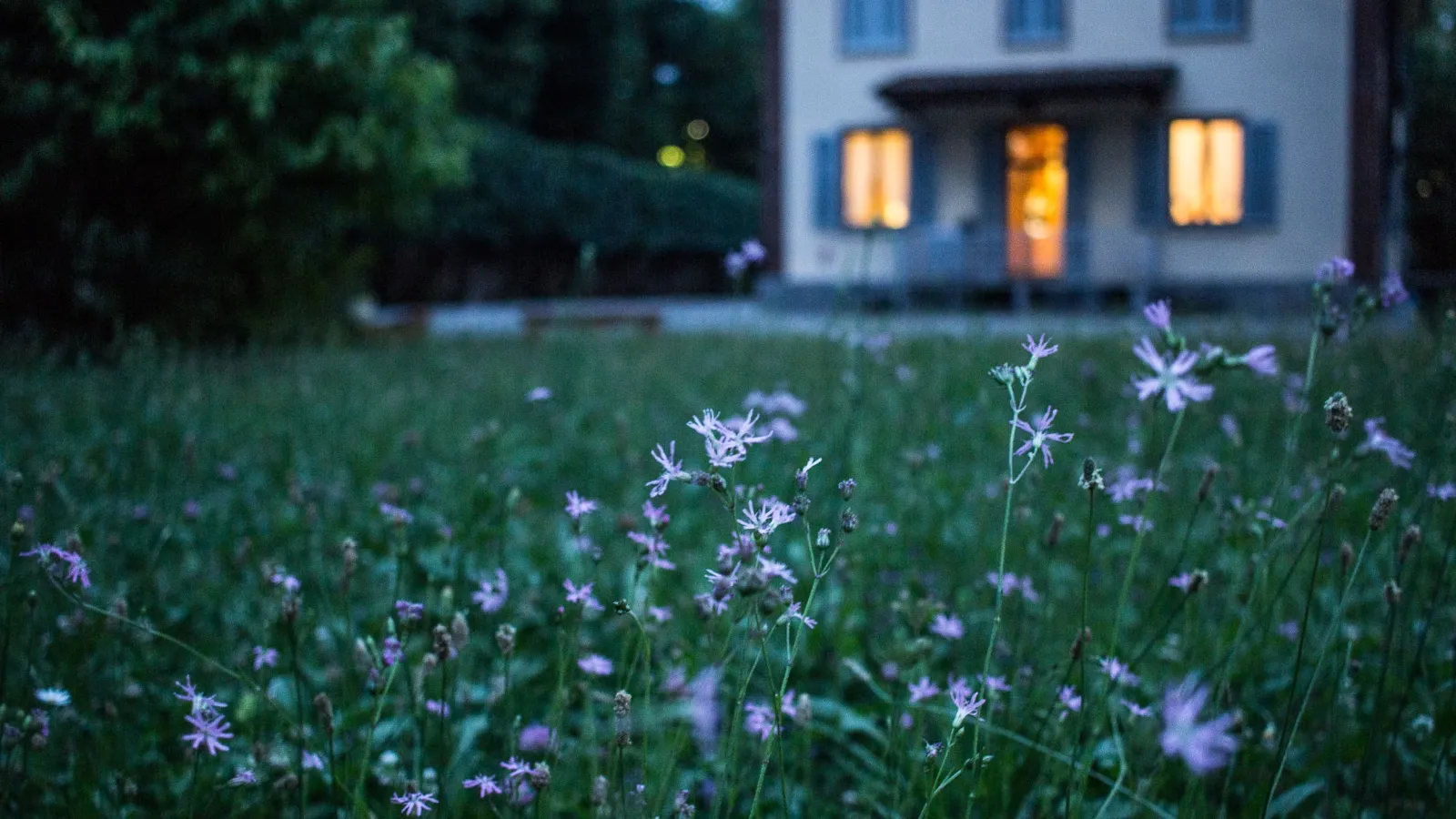 a field of flowers with a building in the background