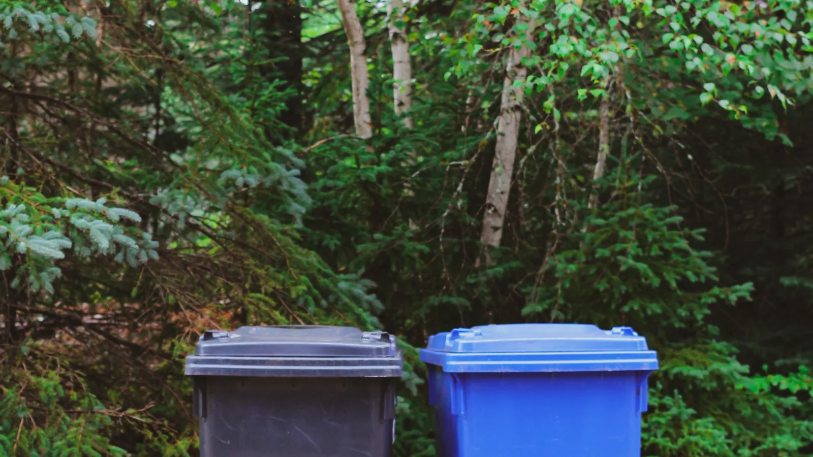 two blue garbage cans