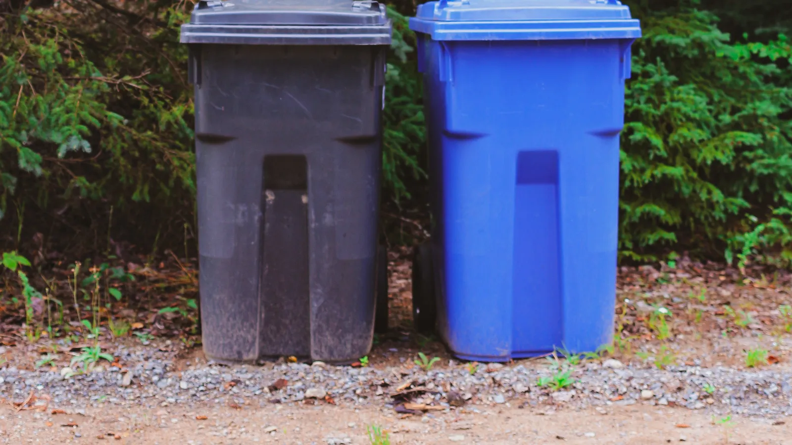 two blue garbage cans