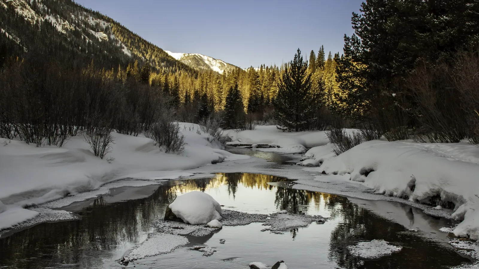 a river with snow and trees in Colorado