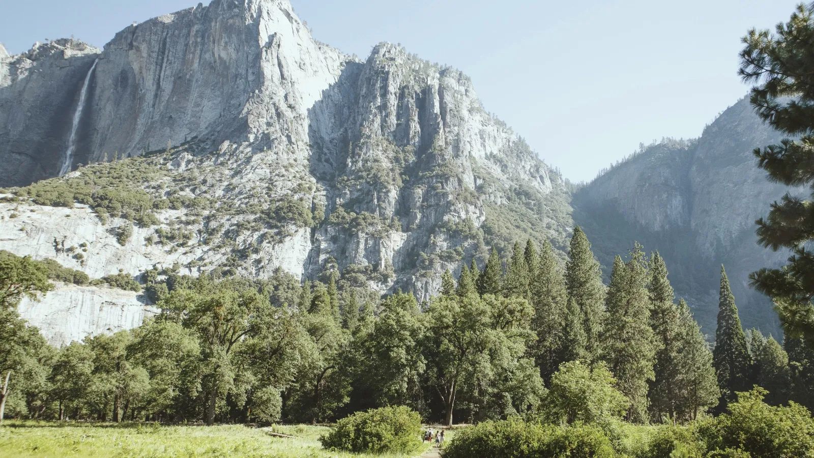 a mountain range with trees in California