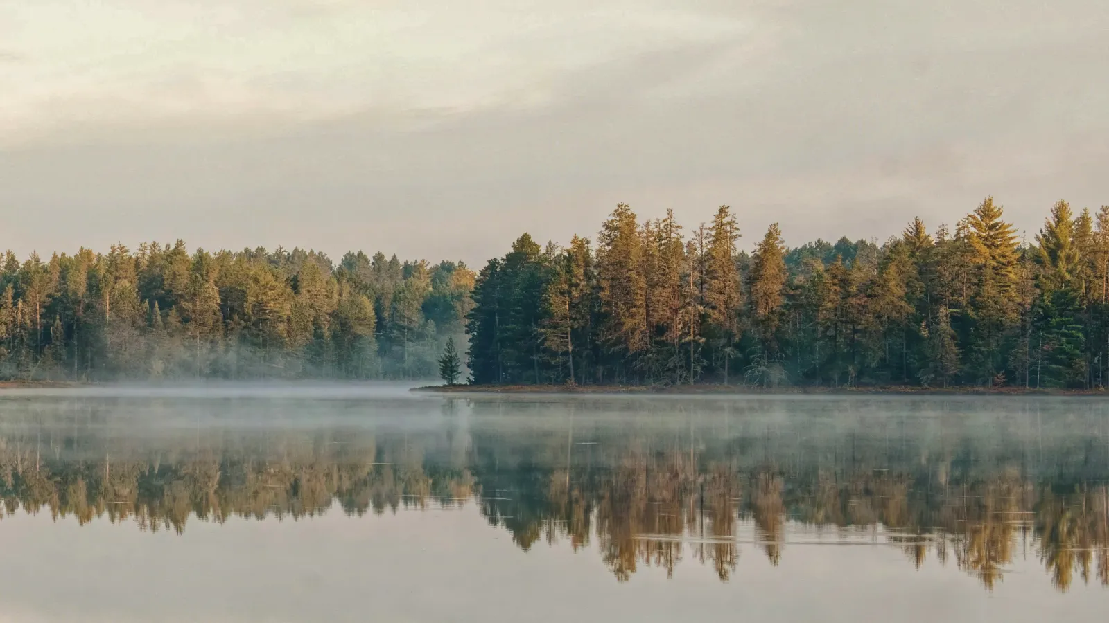 a body of water with trees in the back