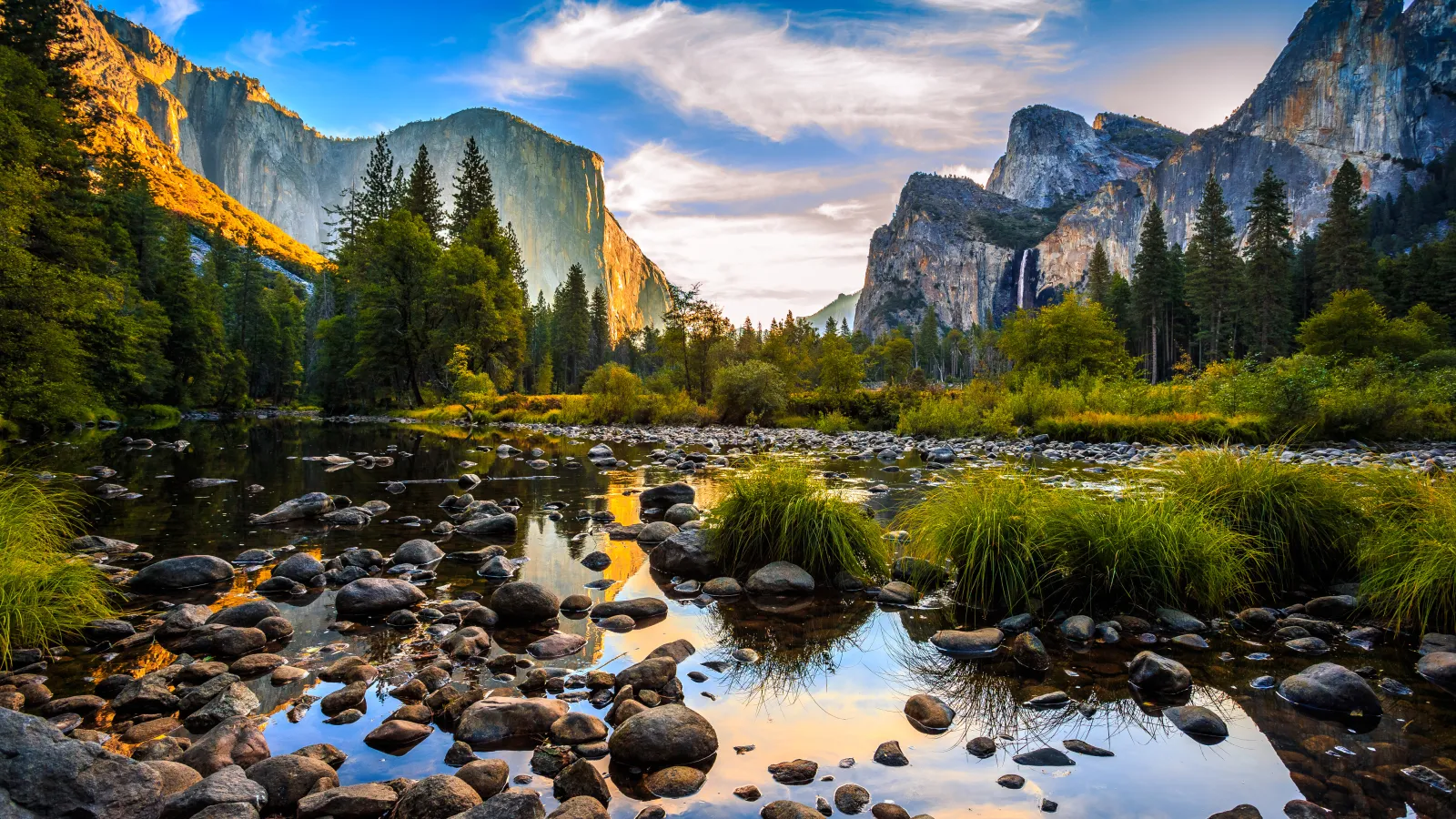 a river with rocks and trees in California