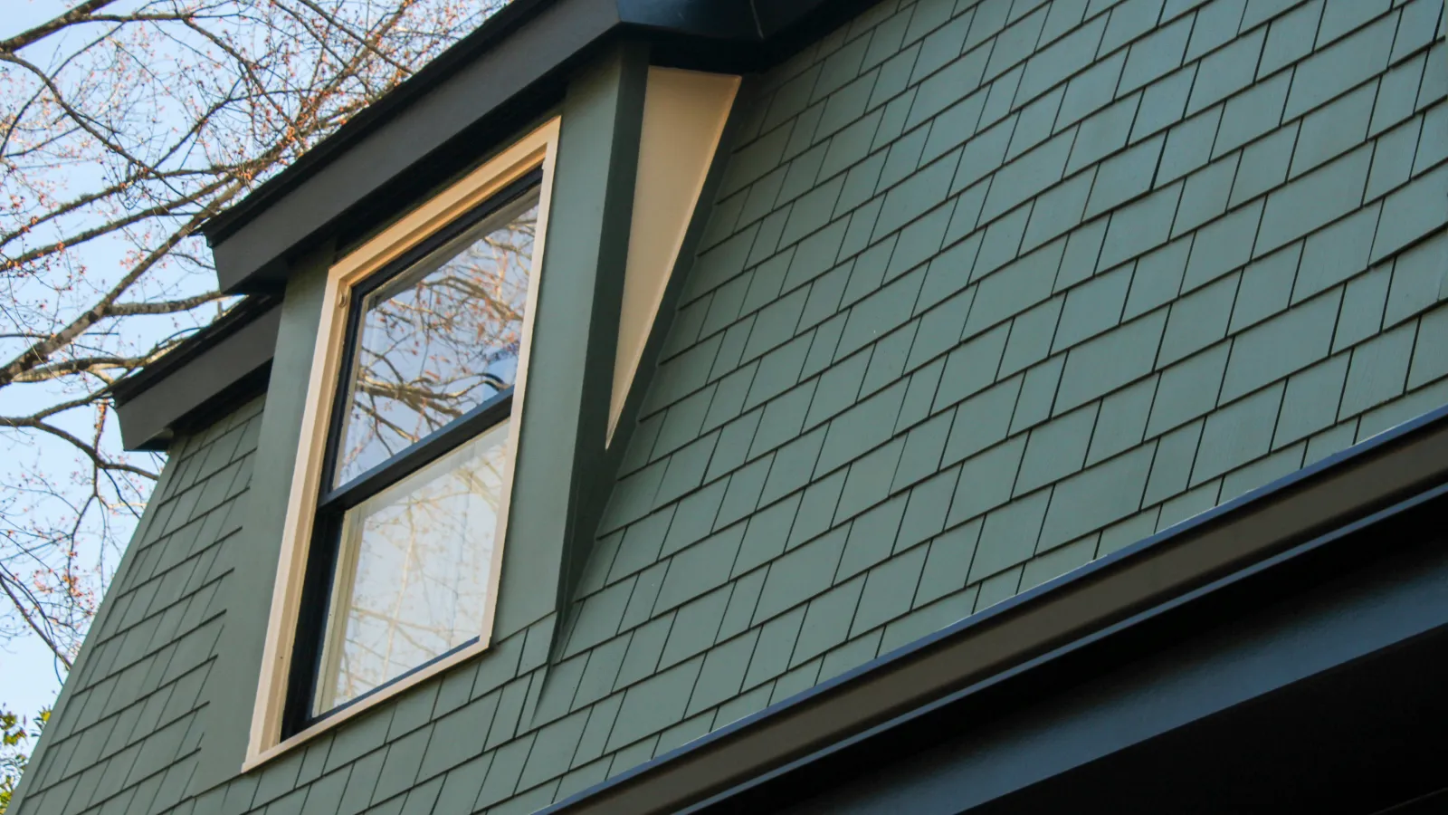Close-up of green shingle siding on a house with a window and bare tree branches in the background.